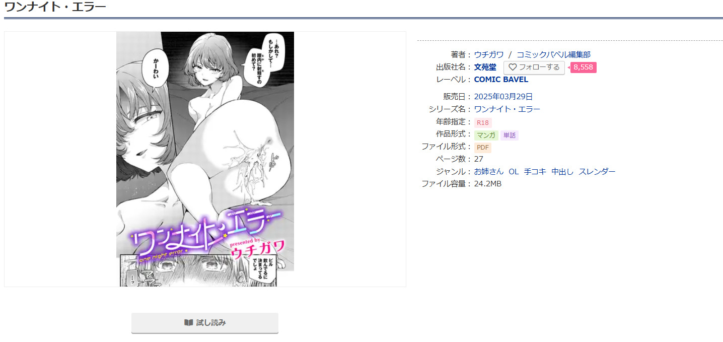 ワンナイト・エラーDLsite